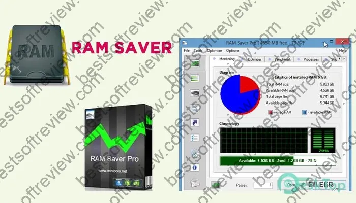 Ram Saver Professional Keygen